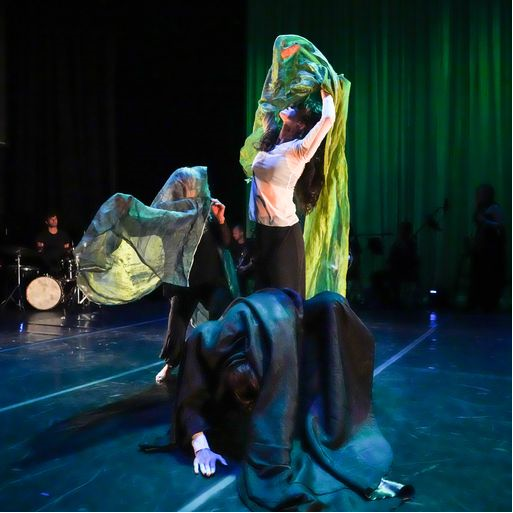 Dance performance of Laminaria performed in New York